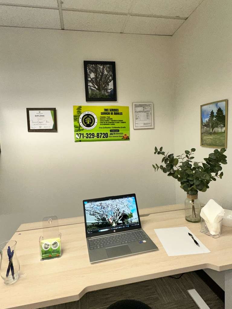 Tree service project 10