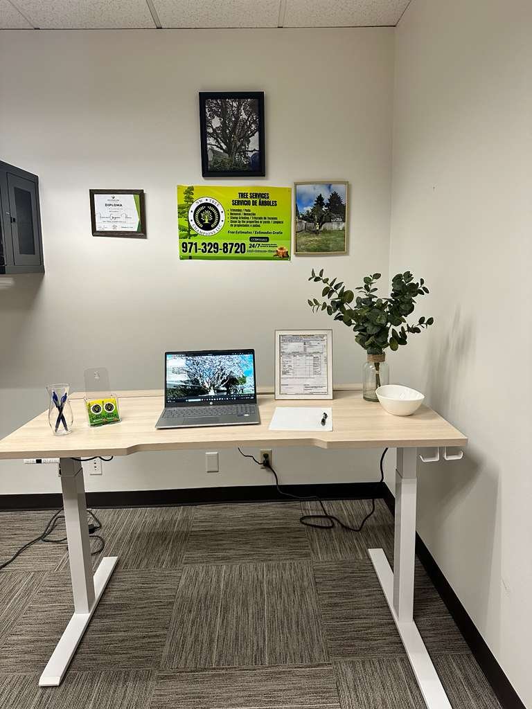 Tree service project 13