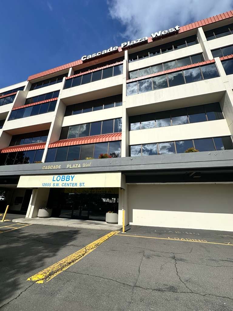 Tree service project 16