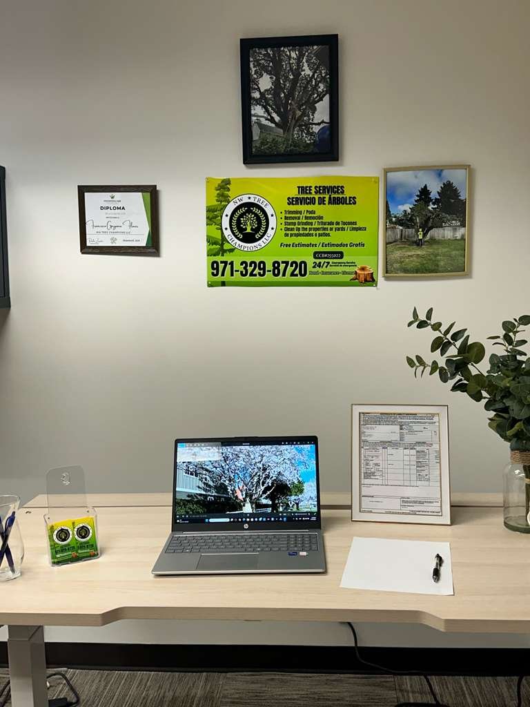 Tree service project 17