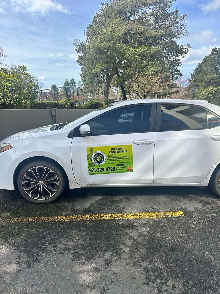 Tree service project 8