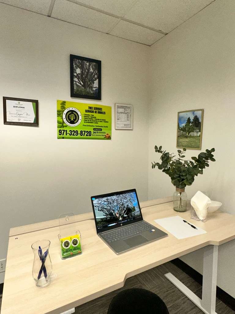 Tree service project 9